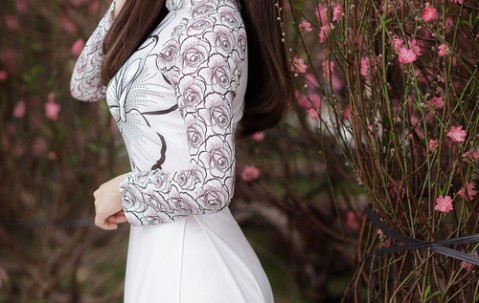 私人供卵试管医院（私立医院做供卵需要多少钱）